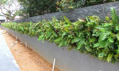 Artificial-plant-wall-landed-home