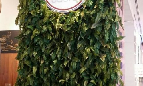 Green-wall-cald-pillar_small