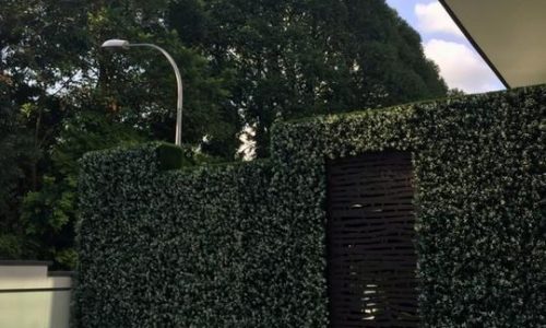 Green-wall-using-artificial-plant-mat