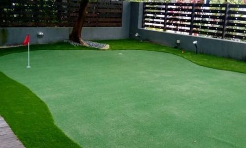 Professional-putting-green-using-artificial-grass
